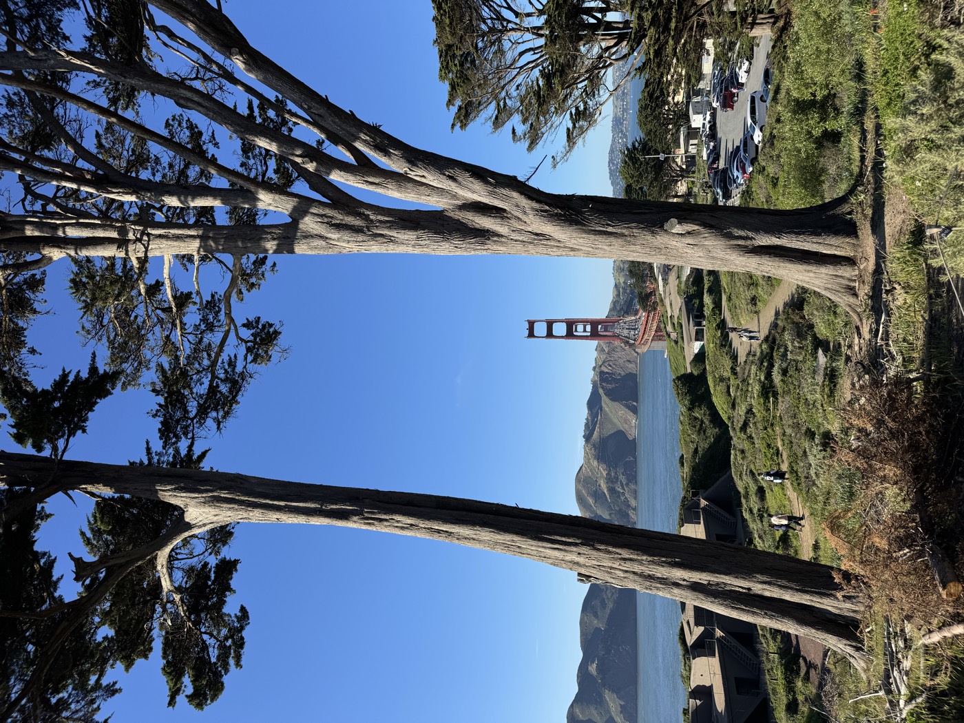 Cycling across the Golden Gate Bridge