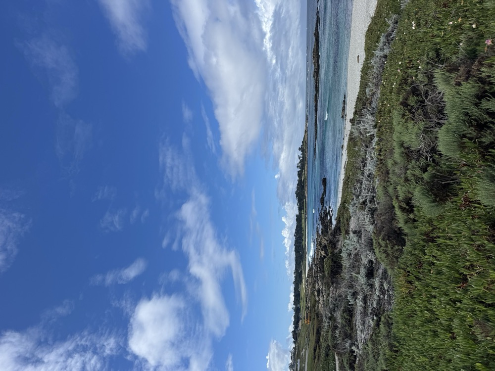 The 17 Mile Drive